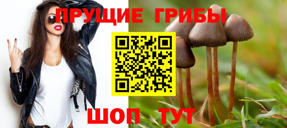 Урус-Мартан  Псилоцибиновые грибы мицелий  Вход с VPN 